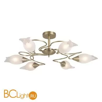 Потолочная люстра Odeon Light Ammania 1319/6