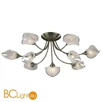 Потолочная люстра Odeon Light Antra 2049/9C