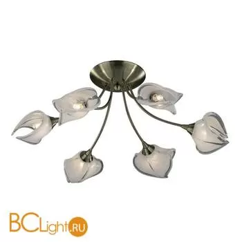 Потолочная люстра Odeon Light Antra 2049/6C