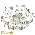 Потолочный светильник Odeon Light Arelata 2584/5