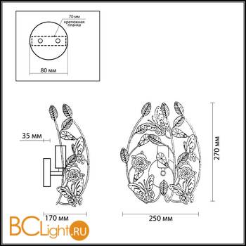 Бра Odeon Light Arelata 2584/1W - Схема