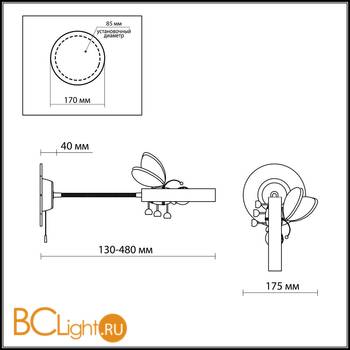 Бра Odeon Light Arli 2805/1W - Схема