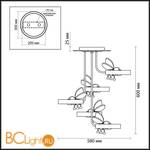 Потолочный светильник Odeon Light Arli 2805/5C - Схема
