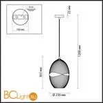 Подвесной светильник Odeon Light Astea 4750/1 - Фото 2