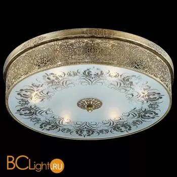 Потолочный светильник Odeon Light Aster 2782/6C