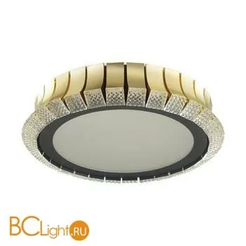 Потолочный светильник Odeon Light Asturo 4994/75L