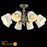 Потолочная люстра Odeon Light Atesa 2925/8C