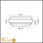 Настенно-потолочный светильник Odeon Light Baha 2403/2C - Схема