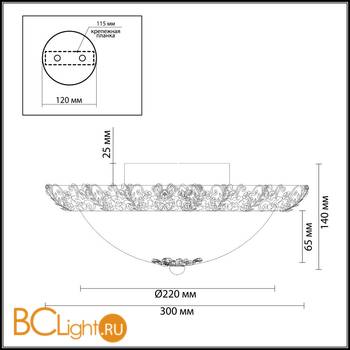 Настенно-потолочный светильник Odeon Light Balasa 2726/2C - Схема