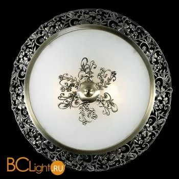 Настенно-потолочный светильник Odeon Light Balasa 2726/2C