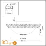 Настенно-потолочный светильник Odeon Light Balasa 2726/2C - Схема