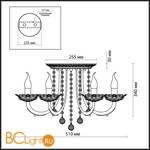 Потолочная люстра Odeon Light Barra 2698/5C - Схема