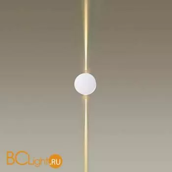 Настенный точечный светильник Odeon Light Beata 4264/4WL - Фото 0