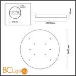 Настенный светильник Odeon Light BERGI 5079/50L - Фото 0