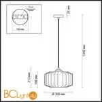 Подвесной светильник Odeon Light Binga 4747/1 - Фото 2