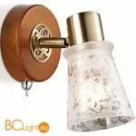 Cпот (точечный светильник) Odeon Light Blanca 2614/1W