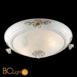 Настенно-потолочный светильник Odeon Light Bone 2692/2C