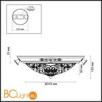 Настенно-потолочный светильник Odeon Light Bone 2692/2C - Схема