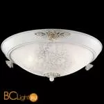 Настенно-потолочный светильник Odeon Light Bone 2692/3C