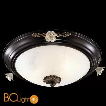 Настенно-потолочный светильник Odeon Light Bone 2693/2C