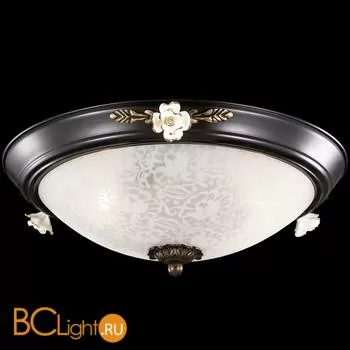 Настенно-потолочный светильник Odeon Light Bone 2693/3C