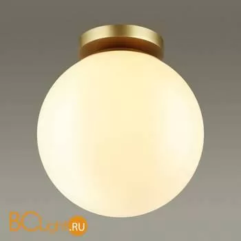 Уличный потолочный светильник Odeon Light Bosco 4248/1C - Фото 0