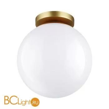 Уличный потолочный светильник Odeon Light Bosco 4248/1C