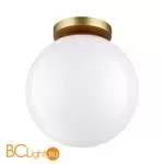 Уличный потолочный светильник Odeon Light Bosco 4248/1C