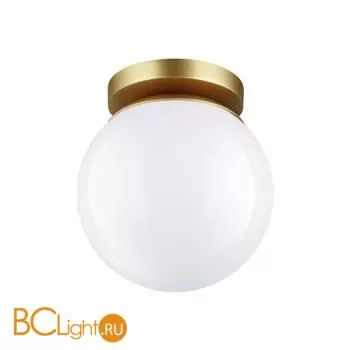 Уличный потолочный светильник Odeon Light Bosco 4247/1C