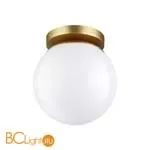 Уличный потолочный светильник Odeon Light Bosco 4247/1C