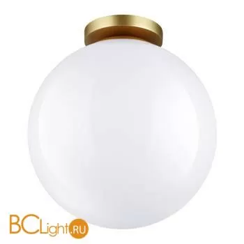Уличный потолочный светильник Odeon Light Bosco 4249/1C