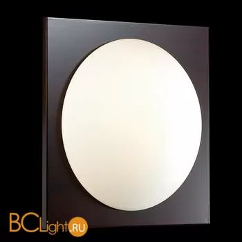 Настенно-потолочный светильник Odeon Light Brido 2763/1C