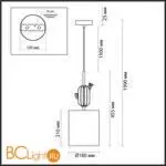 Подвесной светильник Odeon Light CACTUS 5425/1 - Фото 1