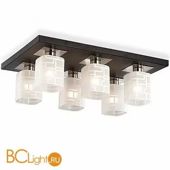 Потолочная люстра Odeon Light Campus 2615/6C