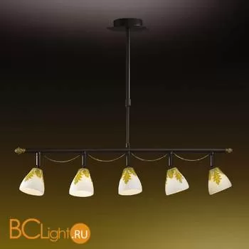 Потолочный светильник Odeon Light Canto 2146/5