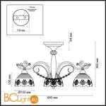 Потолочная люстра Odeon Light Carolina 3206/3C - Схема