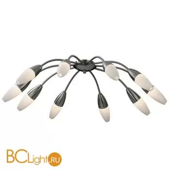 Потолочная люстра Odeon Light Chikko 2012/10C