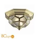 Потолочный светильник Odeon Light Clerk 2271/2C