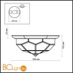 Потолочный светильник Odeon Light Clerk 2271/2C - Схема