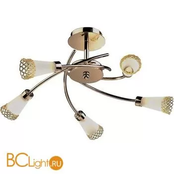 Потолочная люстра Odeon Light Coli 1805/5