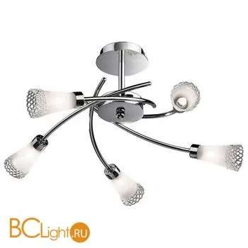 Потолочная люстра Odeon Light Coli 1804/5
