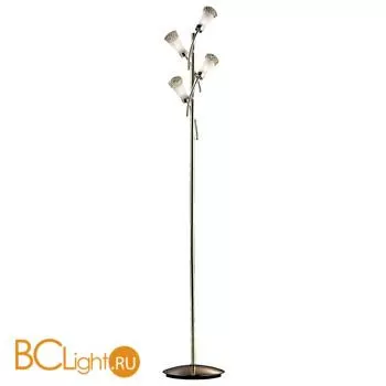 Торшер Odeon Light Coli 1805/4F