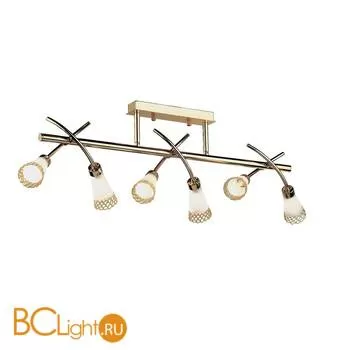 Потолочный светильник Odeon Light Coli 1805/6