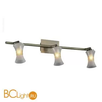 Cпот (точечный светильник) Odeon Light Contes 2073/3W