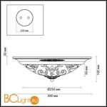 Настенно-потолочный светильник Odeon Light Corbea 2671/2C - Схема