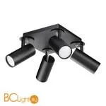 Потолочный светильник Odeon Light Corse 3872/4C