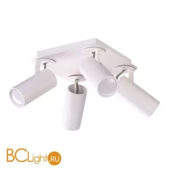 Потолочный светильник Odeon Light Corse 3873/4C