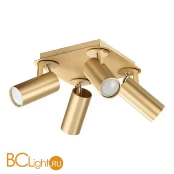 Потолочный светильник Odeon Light Corse 3876/4C