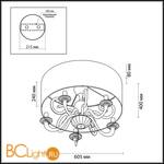 Потолочный светильник Odeon Light Danli 2536/5C - Схема