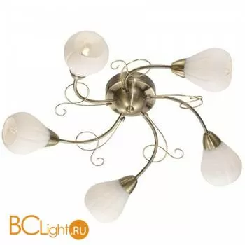 Потолочная люстра Odeon Light Dovera 2470/5C